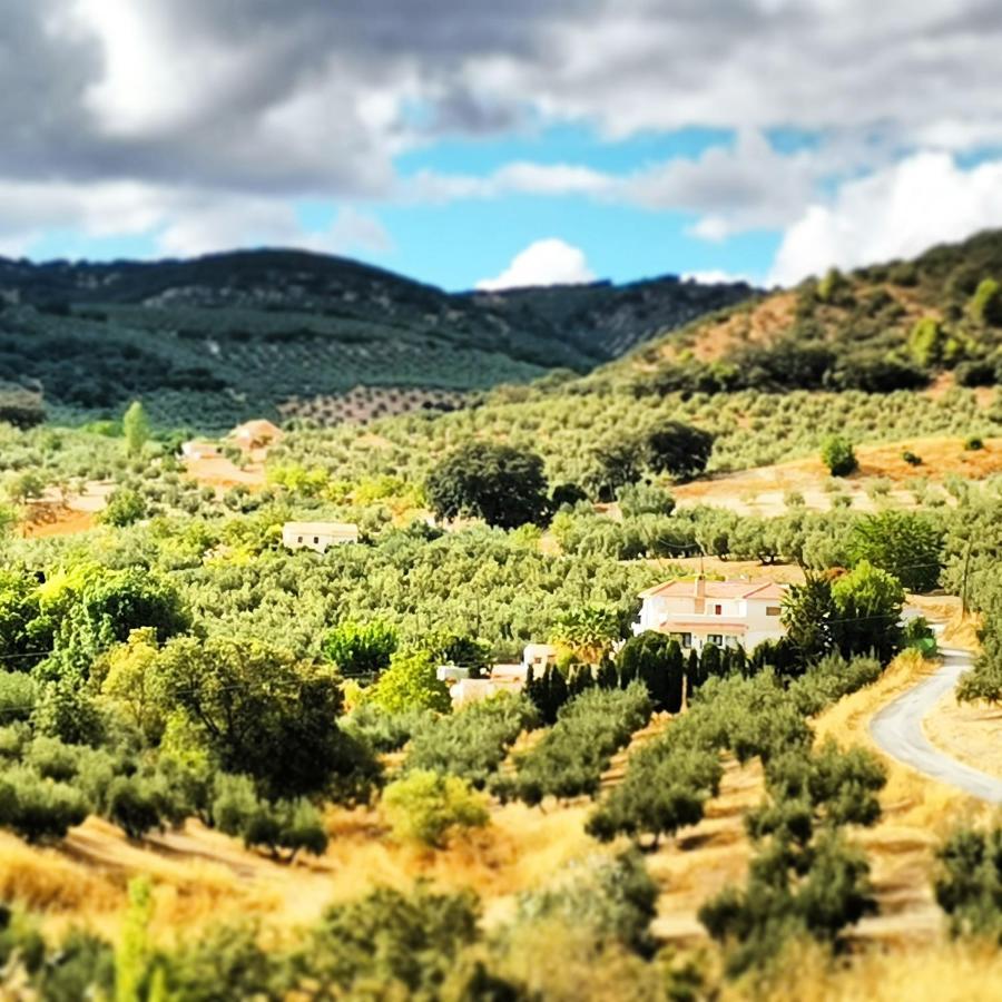 Cortijo Pennymaria Poolside Apartment Near Montefrio With Stunning Views Eksteriør bilde