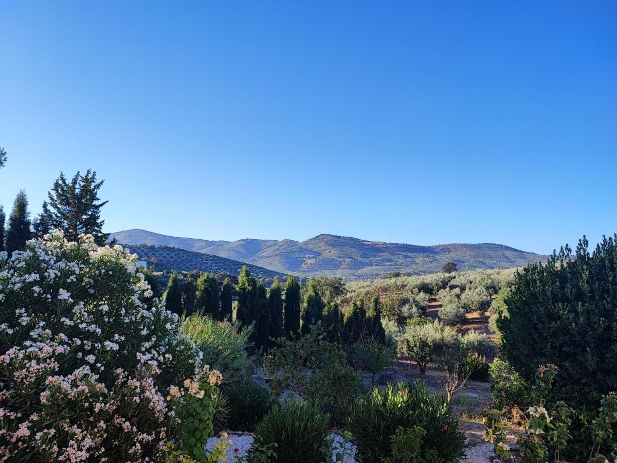 Cortijo Pennymaria Poolside Apartment Near Montefrio With Stunning Views Eksteriør bilde