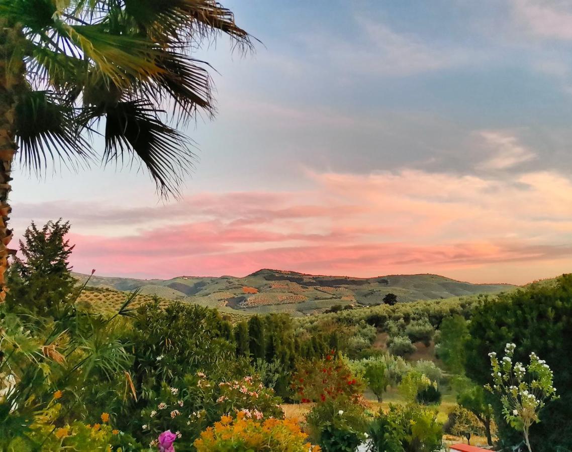 Cortijo Pennymaria Poolside Apartment Near Montefrio With Stunning Views Eksteriør bilde